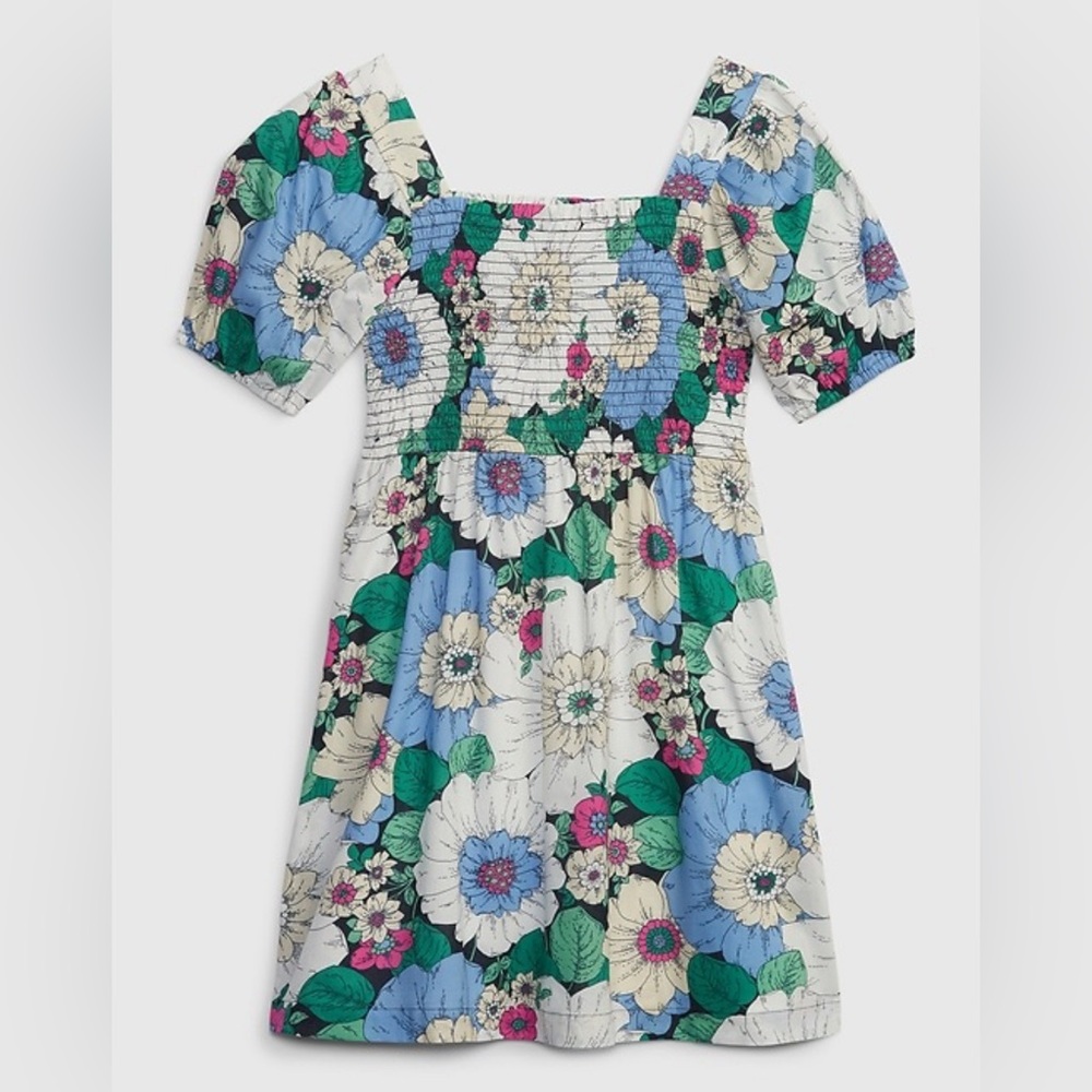 GAP Kids Floral Dress with Blue and Pink